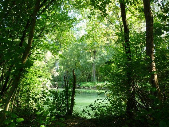 la Réserve Naturelle de l'Île du Rohrschollen