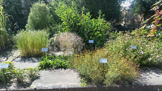 Le Jardin Monastique de Plantes Medicinal d'Eschau