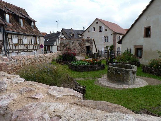 Jardin médiéval