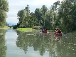 Rastatter Rheinaue