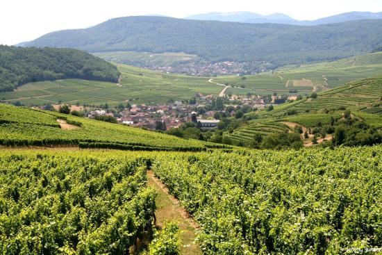 Le Strangenberg