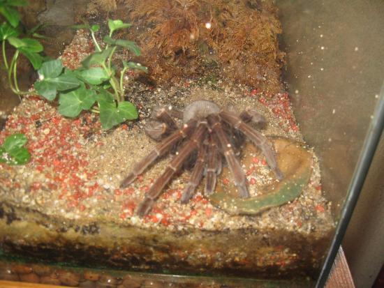 Vivarium du Moulin