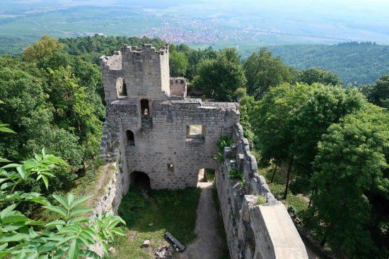 château du Bernstein