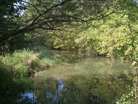 la réserve naturelle de Taubergiessen