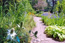 le Jardin botanique du col de Saverne