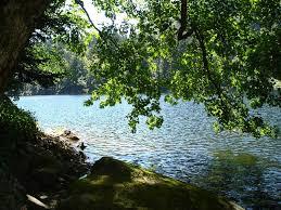 l'Altenweiher