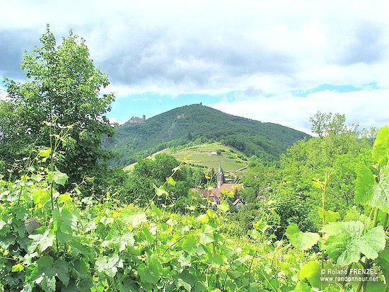 château du Haut-Ribeaupierre